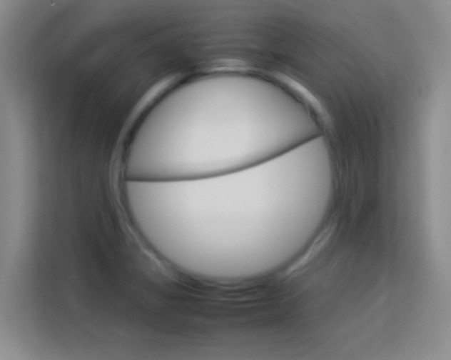 X0000114111325200910051231