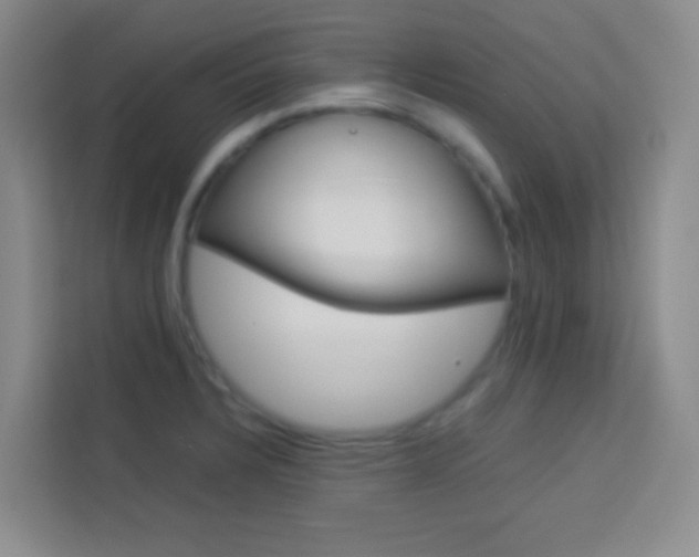 X0000114111328200910051231