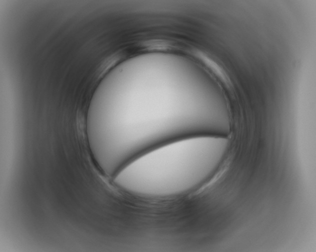 X0000114111329200910051231