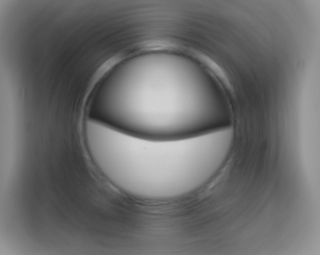 X0000114111330200910051231