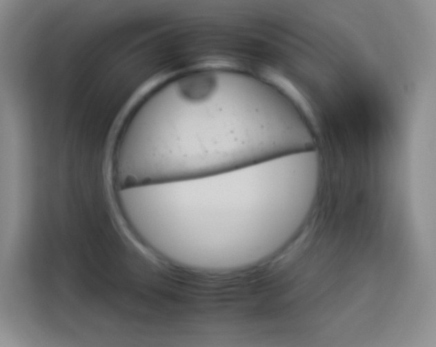 X0000114111331200910051231