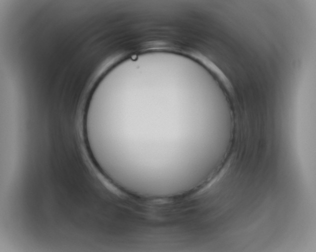 X0000114111333200910051231