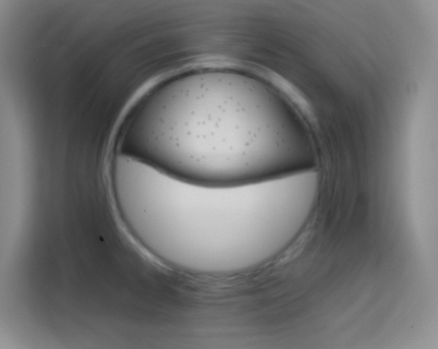 X0000114111334200910051231