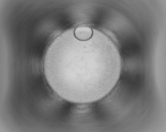 X0000114111338200910051231