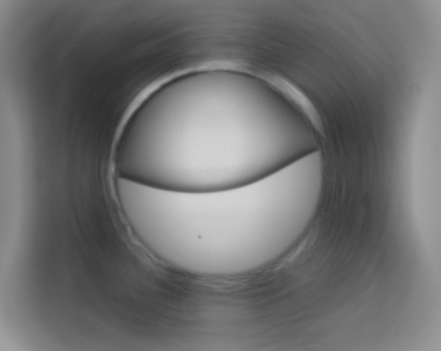 X0000114111340200910051231