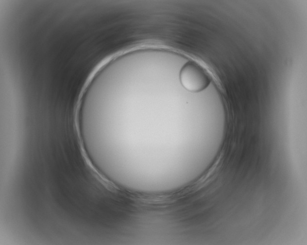X0000114111342200910051231
