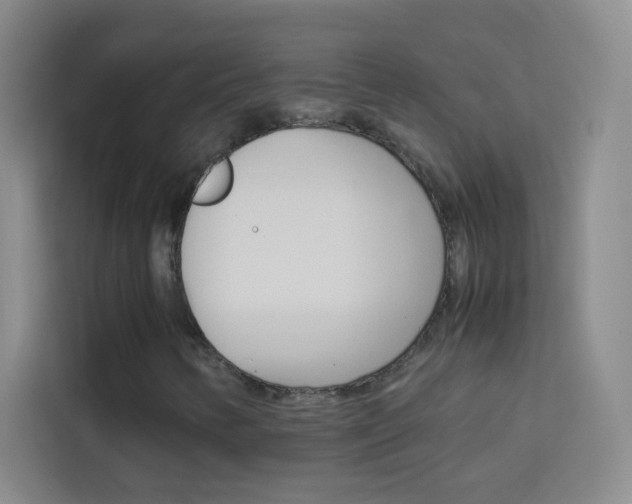 X0000114111346200910051230
