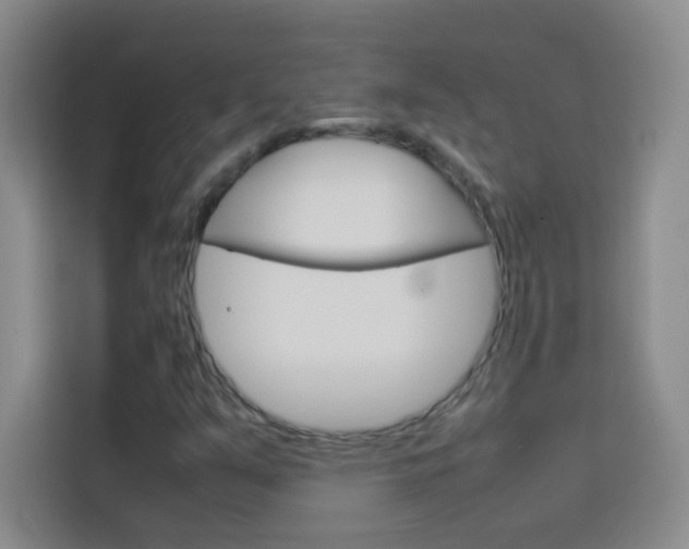X0000114111351200910051230