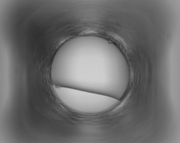 X0000114111353200910051230