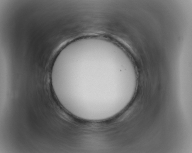 X0000114111355200910051230
