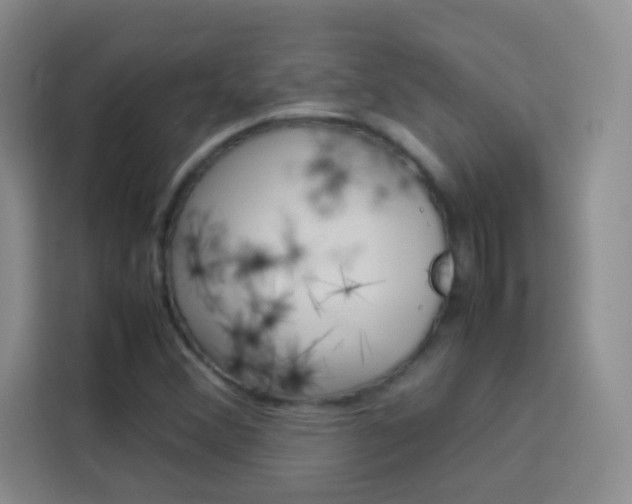 X0000114111356200910051230