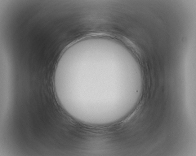 X0000114111361200910051230