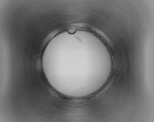 X0000114111362200910051230