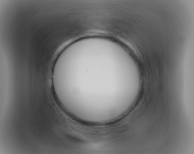 X0000114111363200910051230
