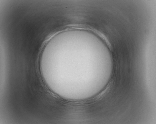 X0000114111365200910051230