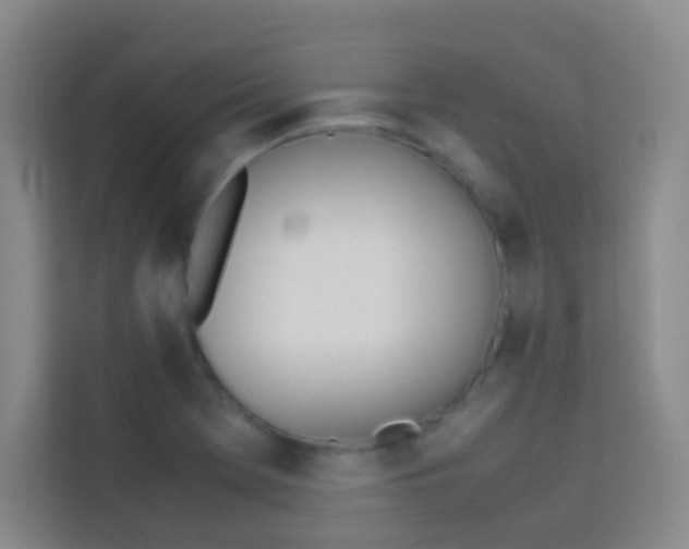 X0000114111369200910051230