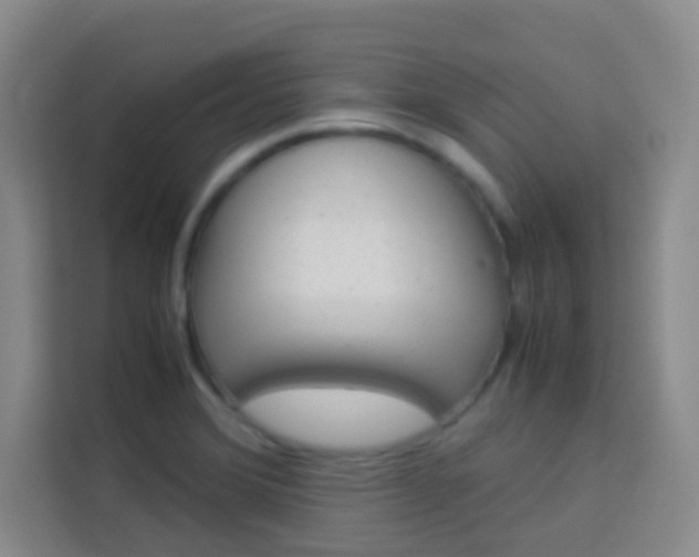 X0000114111372200910051230