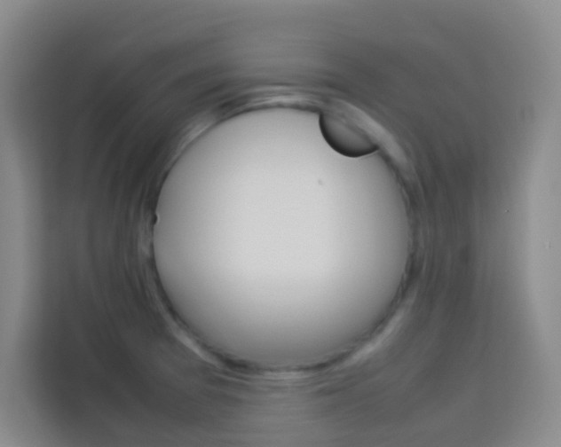 X0000114111377200910051230