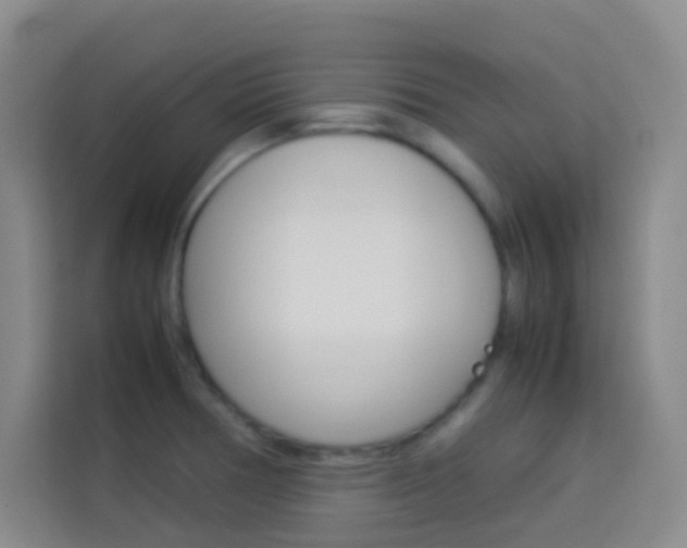 X0000114111378200910051230