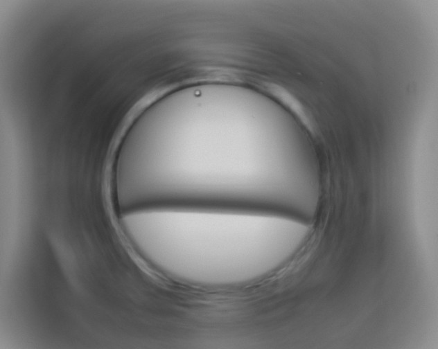 X0000114111379200910051230