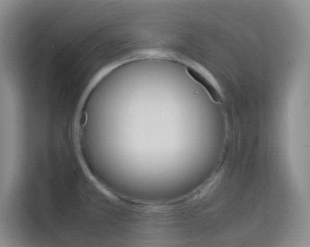 X0000114111381200910051230