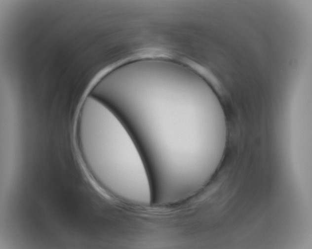 X0000114111383200910051230