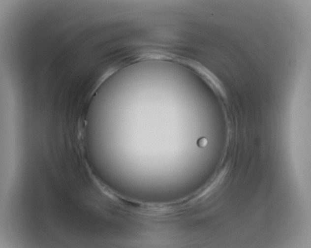 X0000114111385200910051230