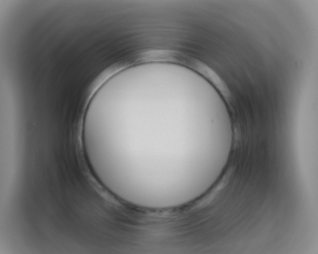 X0000114111386200910051230