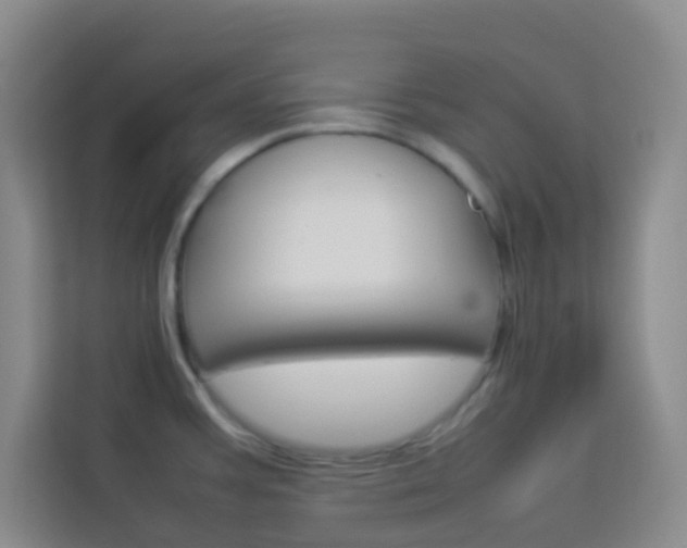 X0000114111387200910051230