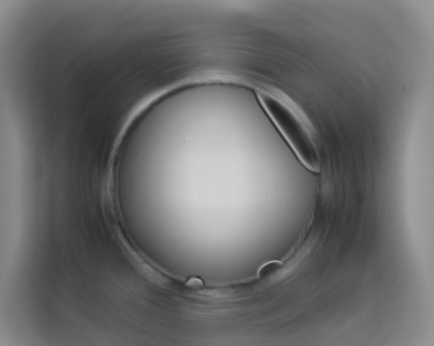 X0000114111388200910051230