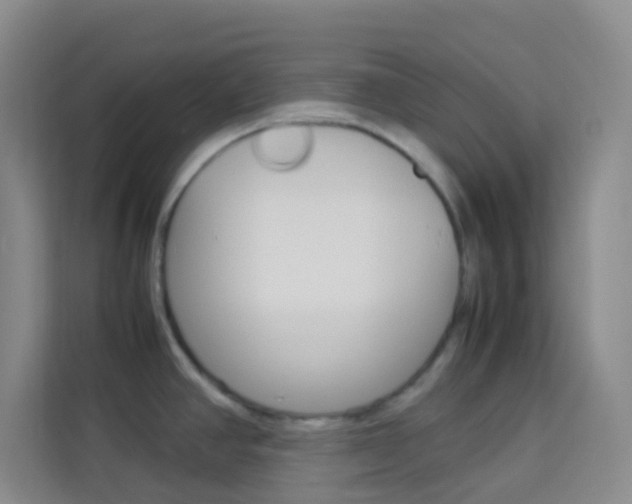 X0000114111390200910051230