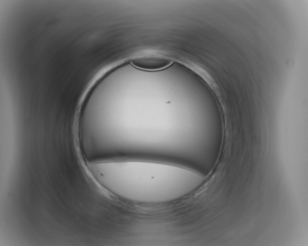 X0000114111392200910051230