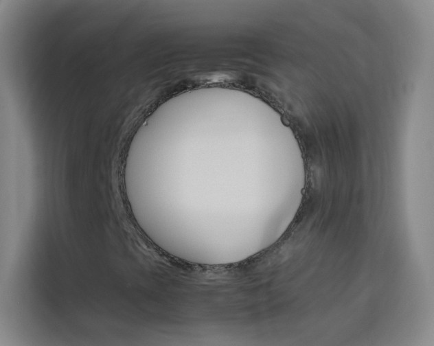 X0000114111393200910051229