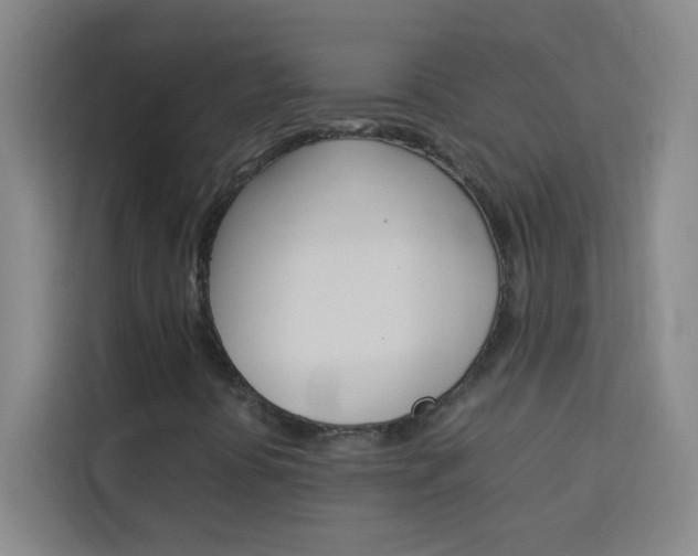 X0000114111394200910051229