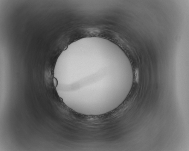 X0000114111395200910051229