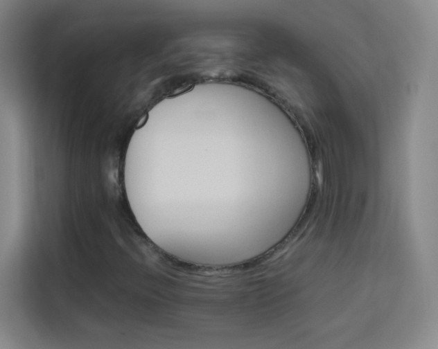 X0000114111396200910051229