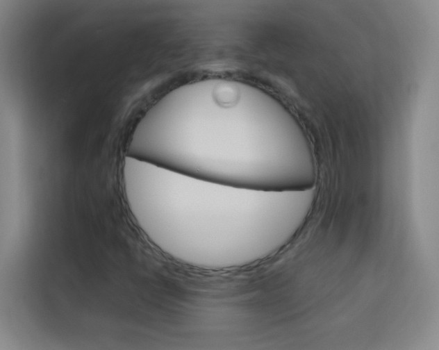 X0000114111398200910051229