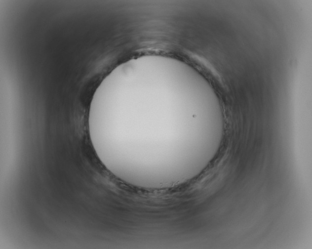 X0000114111399200910051229