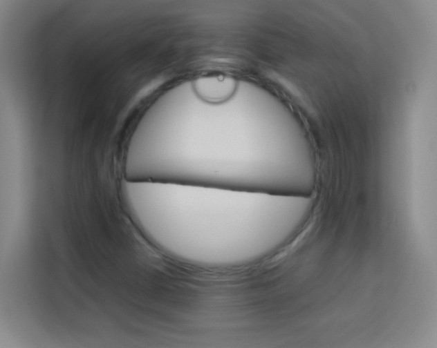 X0000114111402200910051229