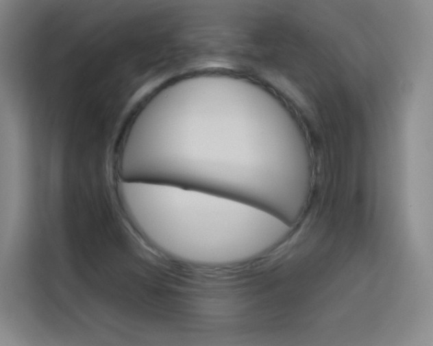 X0000114111404200910051229