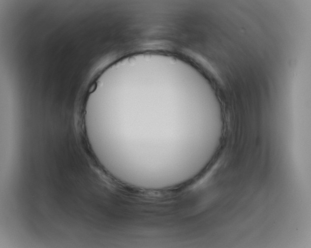 X0000114111405200910051229