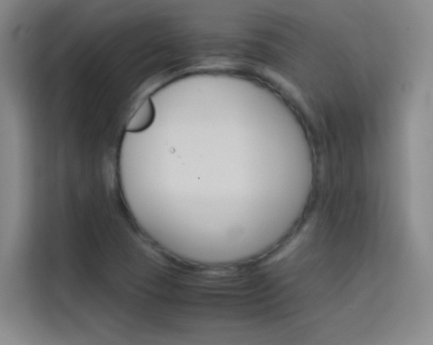 X0000114111409200910051229