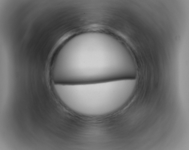 X0000114111410200910051229