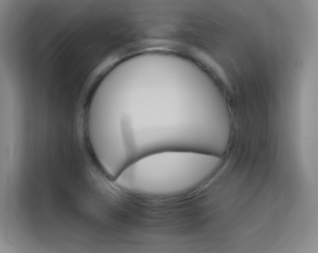 X0000114111411200910051229