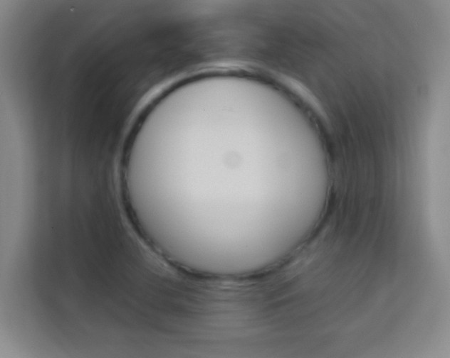 X0000114111412200910051229