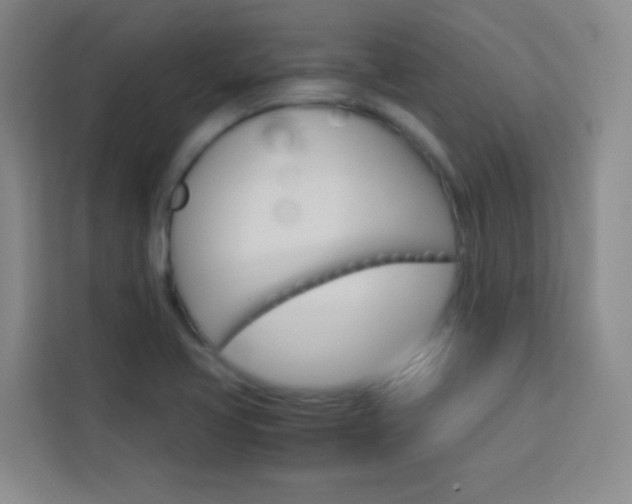 X0000114111413200910051229