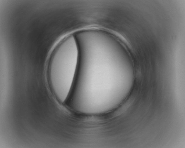 X0000114111414200910051229