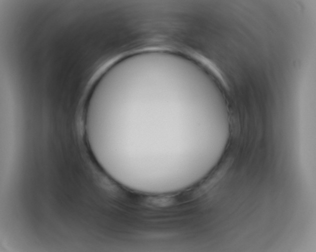 X0000114111415200910051229