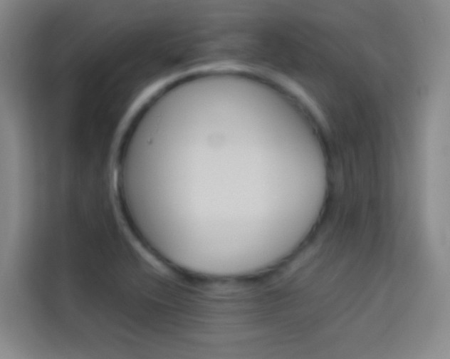 X0000114111416200910051229