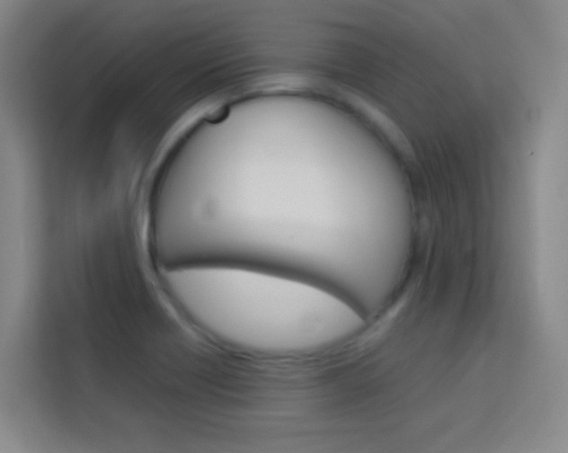 X0000114111418200910051229